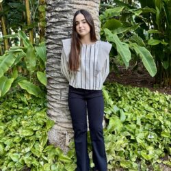 Blusa Rayas volante